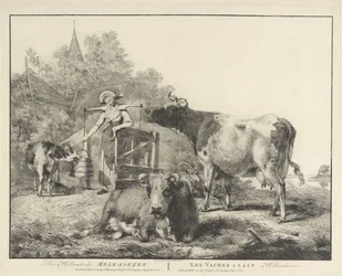 Lehmät ja maitotyttö De Hollandsche Melk-koeijen/ Les vaches â lait hollandaises (otsikko esineessä)