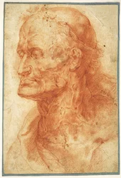 Tutkimus vanhan miehen päästä, noin 1602.