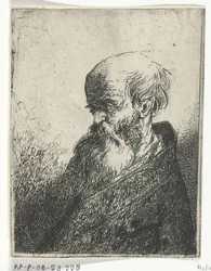 Papin rintakuva