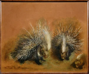 Piikkisika (maalaus kankaalle)