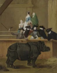 Sarvikuonon esittely Venetsiassa. Luultavasti 1751