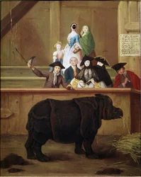 Sarvikuono: intialaisen sarvikuono Claran näytteillepano. 1751. 1700-luku. Venetsialainen museo Ca