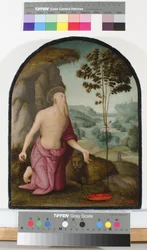 Pyhä Hieronymus erämaassa, n. 1510-1515