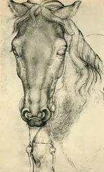 Hevosen pää, c1420-1455, 1943.