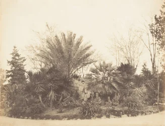 Pincian Garden, Rooma, 1853-56.