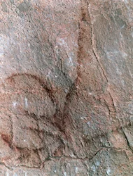 Antilooppihahmo, kalliomaalaus, paleoliittinen kausi (noin 40000-12000 eKr.) (kuva)