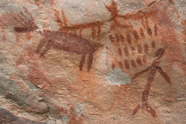 Luolamaalaus, Salmon-Challiksen kansallismetsä (kuva)