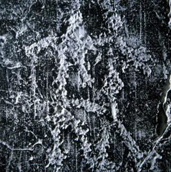 Parittelukohtaus. Esihistoriallinen graffiti Camonican laaksossa, Foppe di Nardossa.