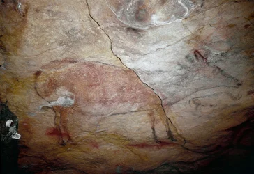 Esihistoria: "" peura"" kalliomaalaus ylemmästä paleoliittista (Magdalenian) (16500-14000 vuotta sitten) Altamiran kivikautinen luola, Santander, Espanja