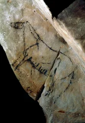 Esihistoria: "" hevonen"" kalliomaalaus tyylillä IV, ylempi paleoliitti (Magdalenian) (18000-14000 vuotta sitten) Las Monedasin kiviaikainen luola, Santander, Espanja - Esihistoria: hevonen. Kalliomaalaus, tyyli IV, ylempi paleoliitti (Magdalenian) (välill