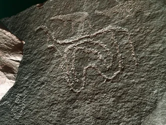Esihistoria, kalliotaide: vakava kallio karjan esityksestä. Tazina tyyli. Kivikausi 5000-2000 eaa. Taghit, Haut plateau du Hoggar (Ahaggar), Algeria