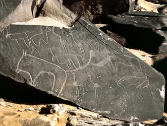 Esihistoriaa, kalliotaidetta: hautakivi, joka kuvaa leijonia, antilooppeja, strutseja ja karjaa. Kivikausi 5000-2000 eaa. Taghit, Haut plateau du Hoggar, Algeria