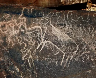 Esihistoria, kalliotaide: karjan esityksen hautakivi. Tazina tyyli. Kivikausi 5000-2000 eaa. Taghit, Haut plateau du Hoggar (Ahaggar), Algeria