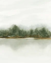Sumuisen metsän heijastus