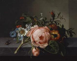Asetelma, jossa on ruusunoksa, kovakuoriainen ja mehiläinen, 1741