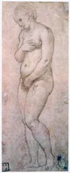 Venuksen tutkimus, 1500-1520
