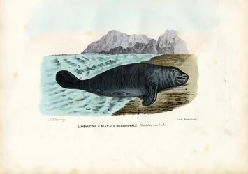 Länsi-Intian manaatti, 1863-79