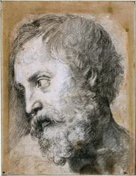 Kirkastumista koskevan apostolitutkimuksen johtaja, 1519-1520