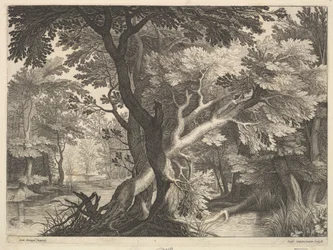 Metsäinen maisema.