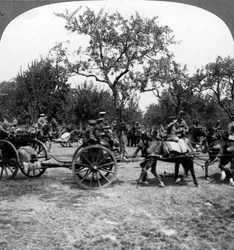 Hevosten vetämä tykistö, ensimmäinen maailmansota, 1914-1918.