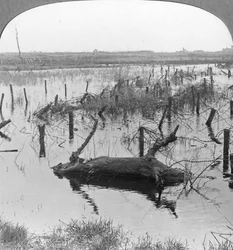 Avattu sulkuputki ja piikkilanka Nieuwpoortissa, Belgiassa, ensimmäinen maailmansota, c1914-c1918