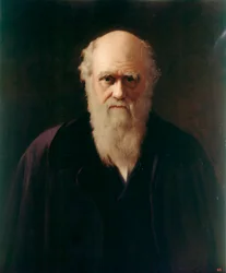 Charles Darwin (öljy aluksella)