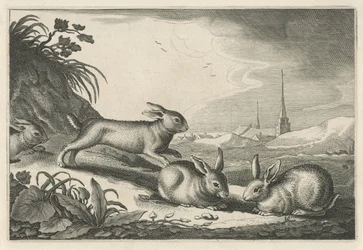 Dyynimaisema kanien kanssa Diversa Animalia Quadrupedia (sarjan nimi)
