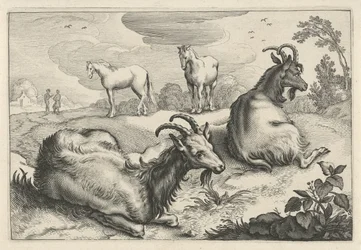 Maisema kahdella vuohella ja kahdella hevosella Diversa Animalia Quadrupedia (sarjan nimi)