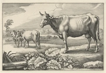 Laitumella lehmiä Diversa Animalia Quadrupedia (sarjan nimi)