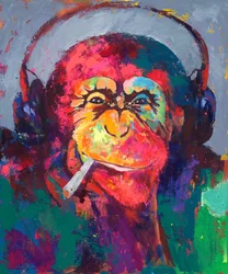Värikkäät Monkey-kuulokkeet