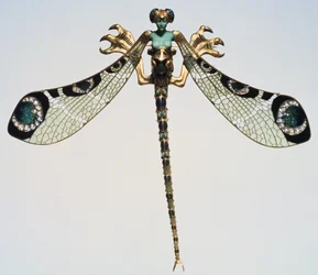 Pectoral, 1800-luvun loppu