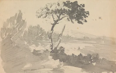 Arbore și Lakefinnish
