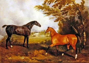 Equestrian Scene (öljy kankaalle)