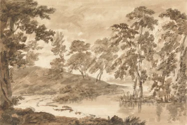 Metsän maisema