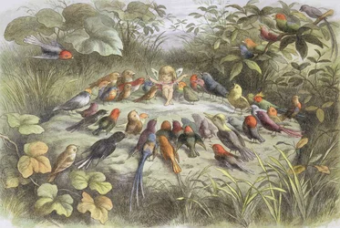 Musiikkiharjoitus keijumaassa (kuva teoksesta "Keijumaassa. Kuvia keijumaailmasta", William Allingham ja Andrew Lang