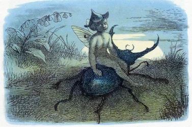 The Fairy Queen
