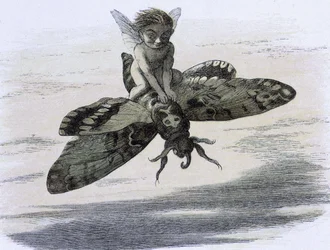 Un elfe chevauchant un papillon. Kuvitus Richard Doyle renkaasta ""Keijumaassa". Sarja kuvia tonttumaailmasta"" compagnee d