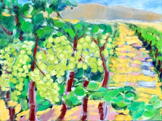 Chardonnay-rypäleet, Napa, 2019