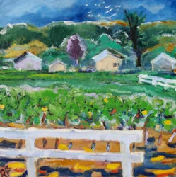 Rikkoutunut aita, Napa, 2019