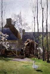 Lemmikkihanhi