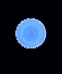 Circle X, 2005 (digitaalinen c-tyyppinen valokuva)
