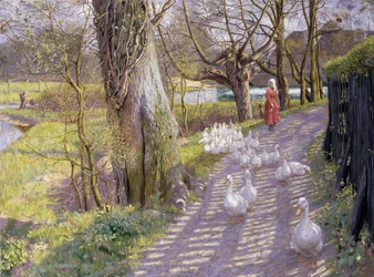 Polku myllylammen rannalla, 1900