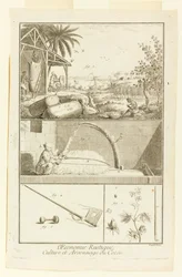 "Cultivation et Arsonnage du Coton" julkaisusta Diderot