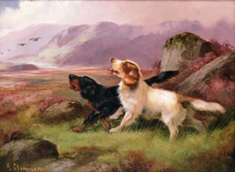 Gundogs (yksi parista)