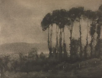 Kameratyö: Toucques Valley