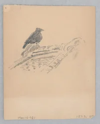 Lintu