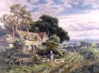 Kanojen ruokinta