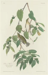 Syksykirkka, 1830.