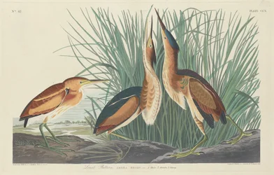Vähiten katkera, 1834.