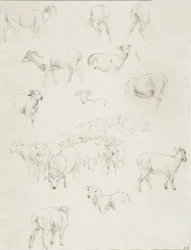 Lammaslauma, vuoden 1794 jälkeen (grafiitti)